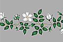 Valkoinen ruusunmarja - boordi - kukkatapettiboordi