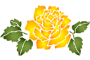 Teeruusu - ruusut sablonit